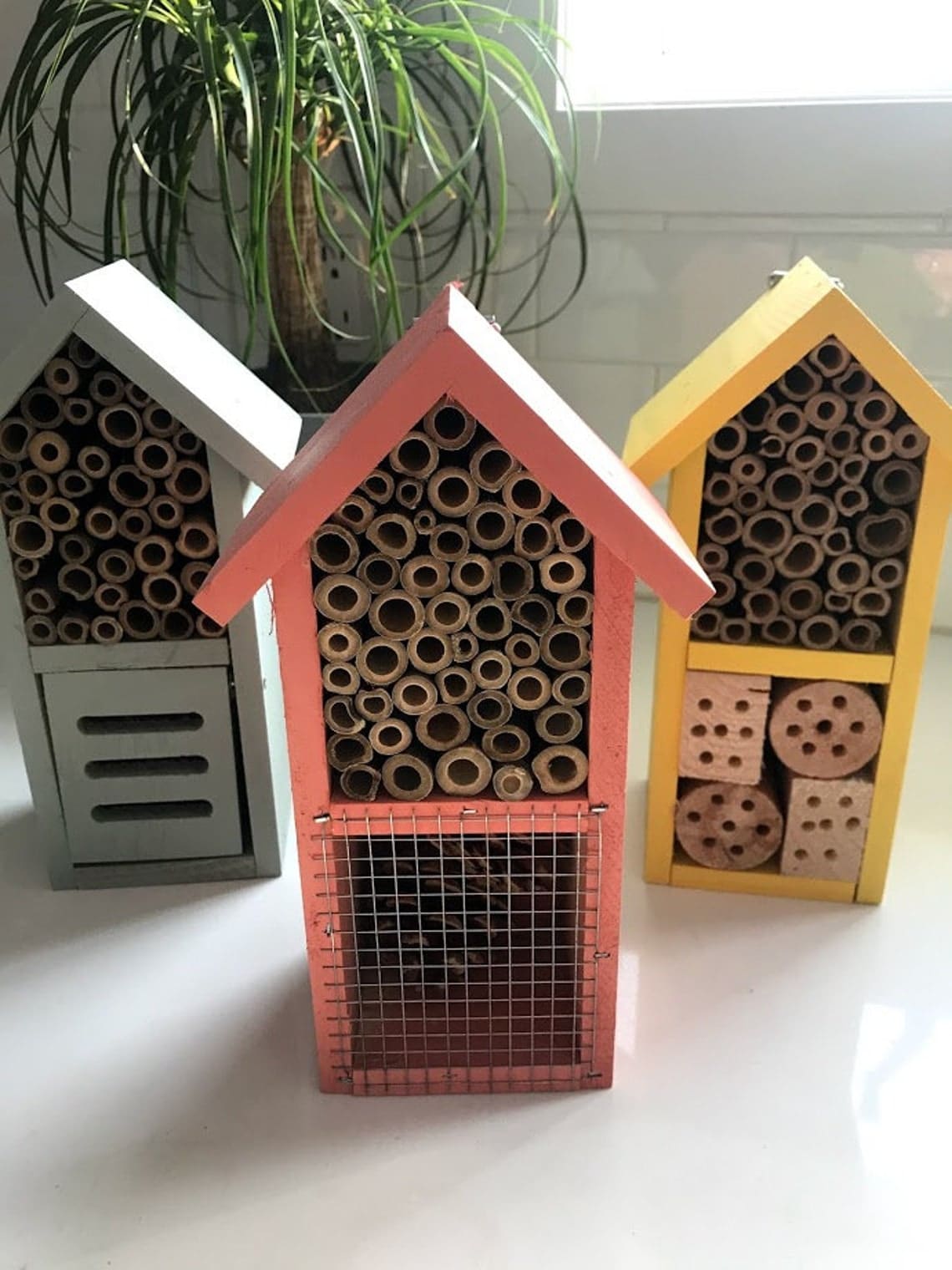 pollinator houses