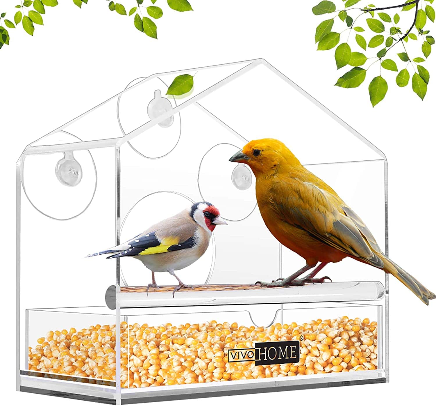 window bird feeder