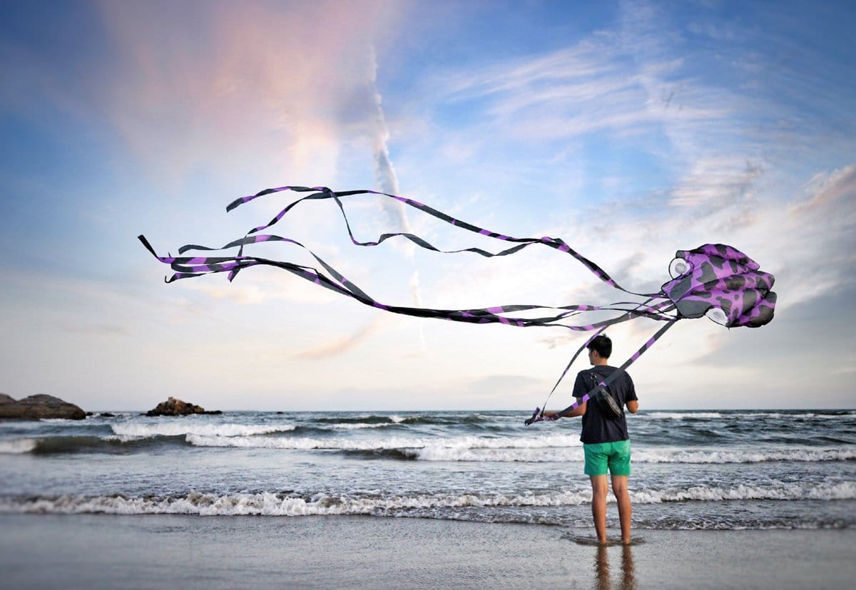 A person flies and octopus kite at the beach.